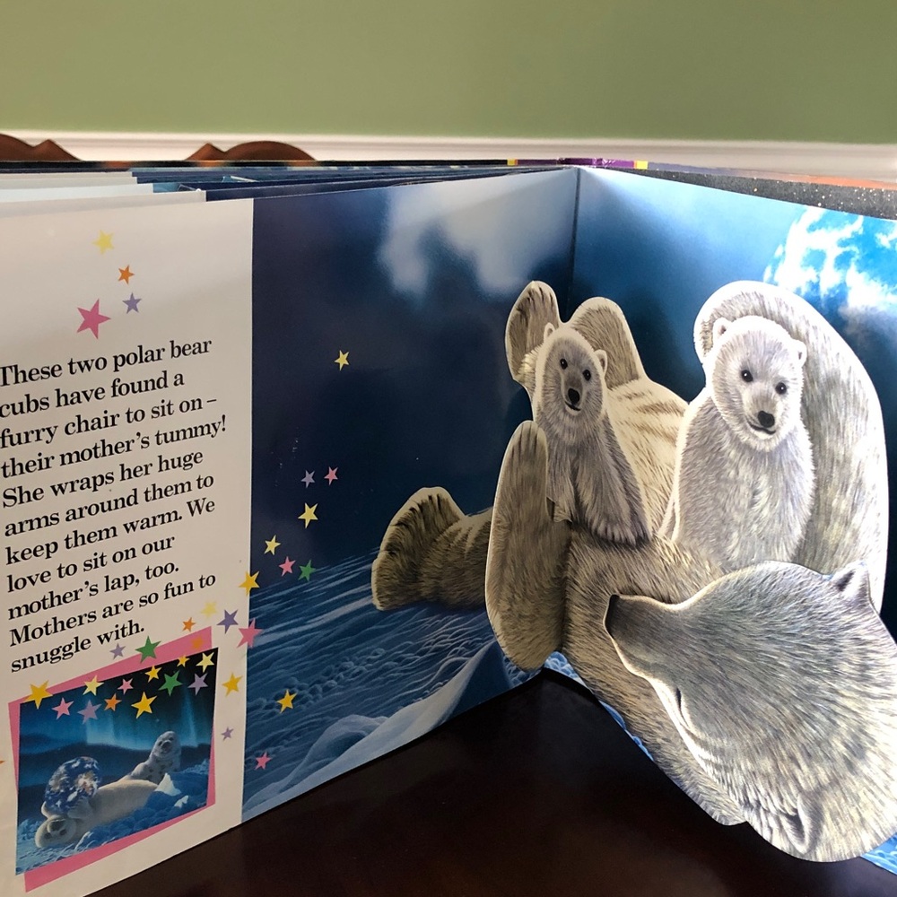 Magic Planet Pop-Up Fun Book - Colorful Edition - Picture 5 of 7